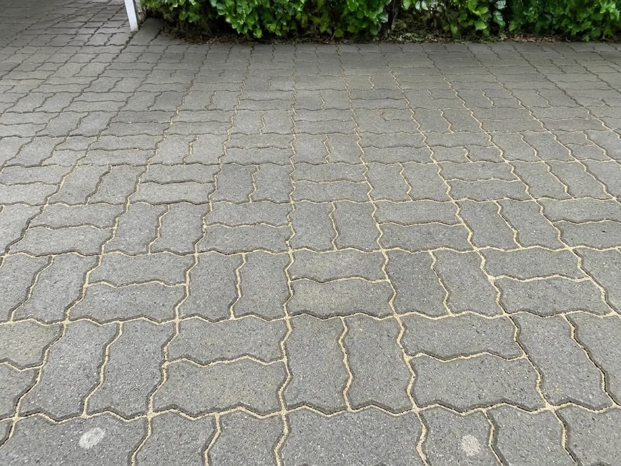 Pflastereinfahrt nach der Reinigung mit sauberen, neu versandeten Fugen
