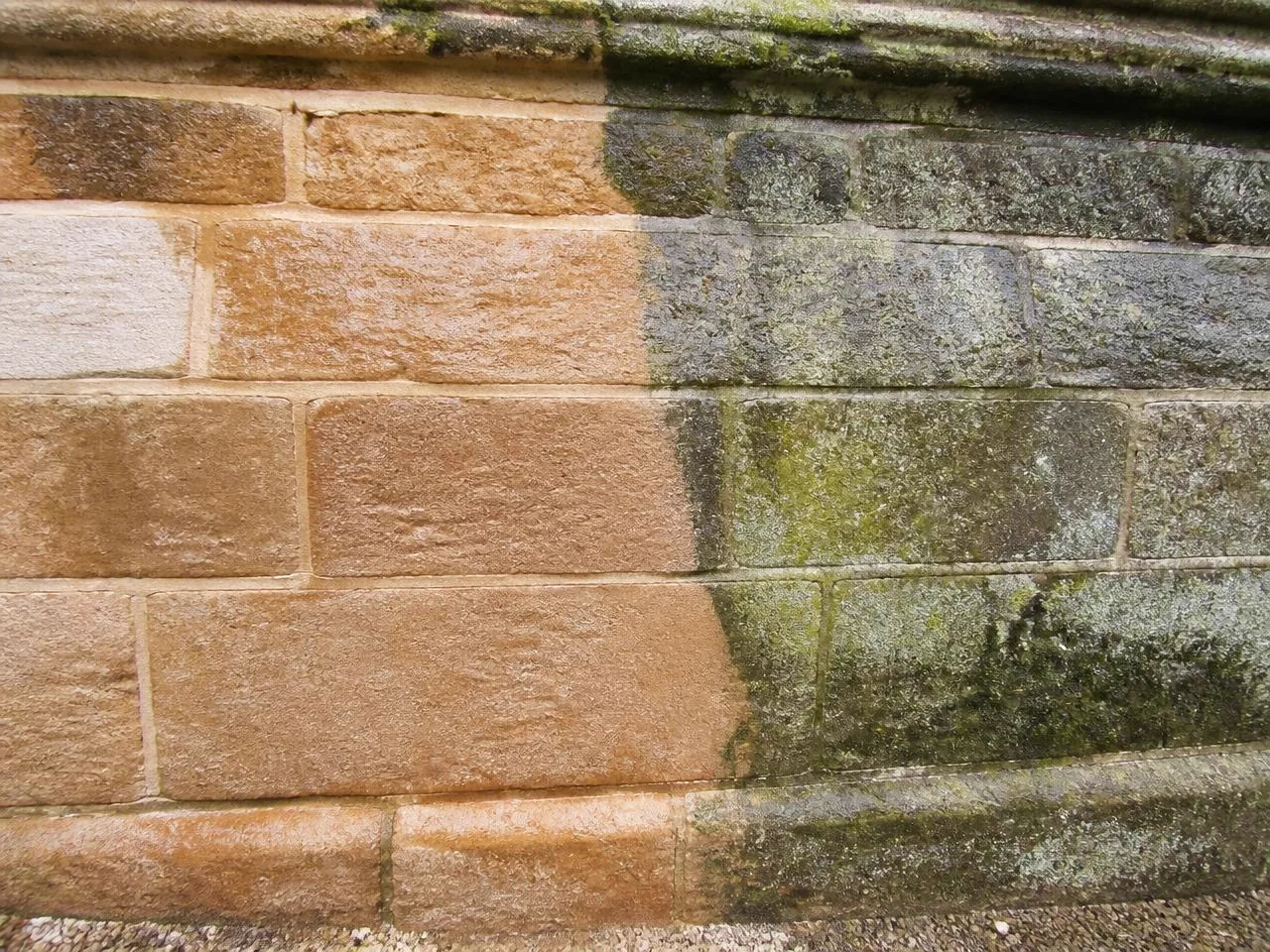 Sandsteinmauer zur Hälfte gereinigt, zur Hälfte mit Algen und Grauschleier